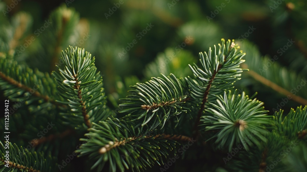 Poster a detailed view of a pine tree branch with needles and cones