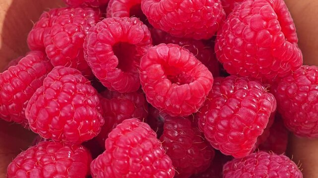 raspberry