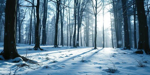 Snowflakes gently falling on a frozen forest floor amidst sunlit trees, natural beauty, forest