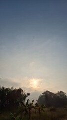 Morning Radiance: Nature’s Beauty Unfolded