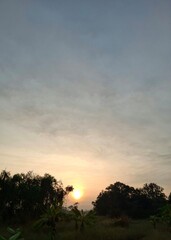 Morning Radiance: Nature’s Beauty Unfolded
