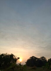Morning Radiance: Nature’s Beauty Unfolded