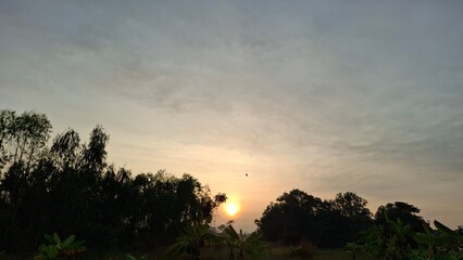 Morning Radiance: Nature’s Beauty Unfolded