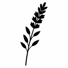 Lavender Sprig vector silhouette black design white background