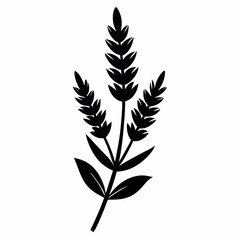 Lavender Sprig vector silhouette black design white background
