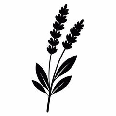 Lavender Sprig vector silhouette black design white background