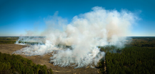 Aerial view of white smoke from forest fire rising up polluting atmosphere. Natural disaster concept