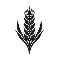 ears isolated on white