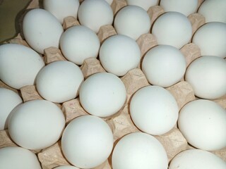 White eggs in trey box raw chicken eggs in paper egg tray on white background. Group of Fresh white Eggs in a cardboard cassette. Organic food from nature good for health