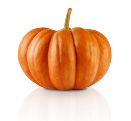 Pumpkin with clipping path isolated on white background. Design element.