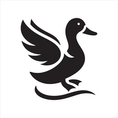 duck isolated on white