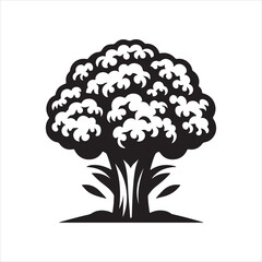 Cauliflower vector