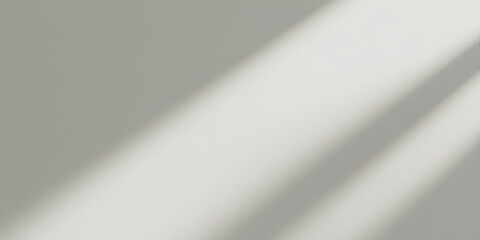 Brushed Metal Texture with Silver and Gray Surface Reflection