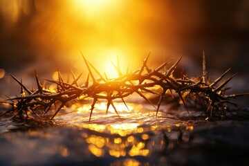 Fototapeta premium Close-Up of Crown of Thorns with Golden Light Reflection on Water at Sunrise Symbolizing Faith and Sacrifice