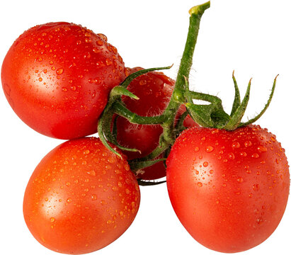 jitomates rojos, racimo de jitomate, alimento, rojo, verduras, aislada, madura, fresco, fruta, blanco, salubre, organica, verde