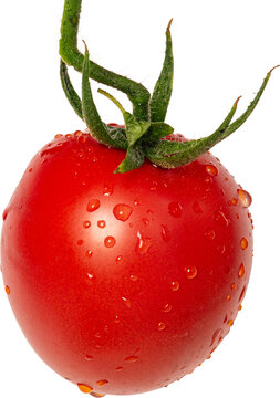 jitomates rojos, racimo de jitomate, alimento, rojo, verduras, aislada, madura, fresco, fruta, blanco, salubre, organica, verde