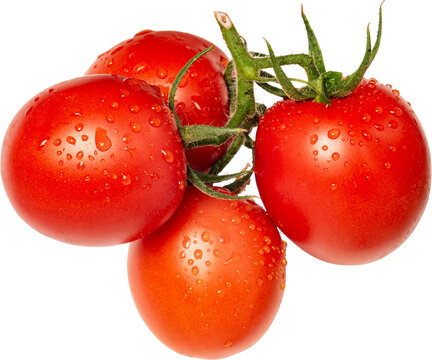 jitomates rojos, racimo de jitomate, alimento, rojo, verduras, aislada, madura, fresco, fruta, blanco, salubre, organica, verde
