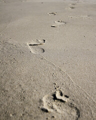 footprints in the sand
