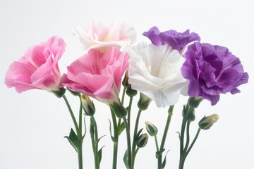 Fresh bouquet of mixed flowers in a decorative vase
