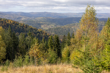 Autumn landscape in the mountain