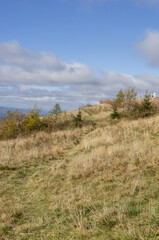 Yellow grass on an autumn hill