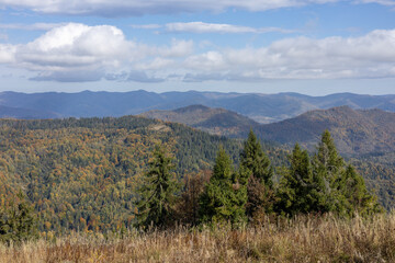 Autumn landscape in the mountain