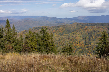 Autumn landscape in the mountain