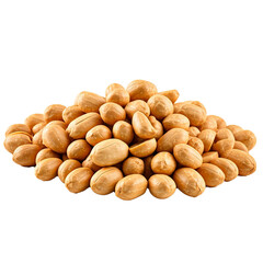 Obraz premium peanuts in a bowl