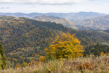 Autumn landscape in the mountain