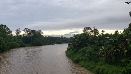 A River Winding Through Lush Green Jungle with a Mountainous Background