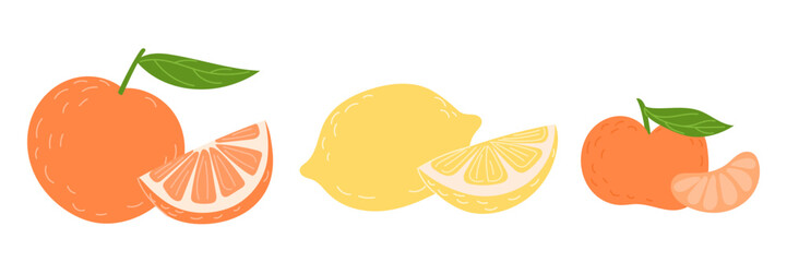 Set of citrus fruits including  orange, tangerine, lemon