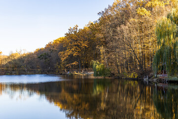 Autumn forest near the lake