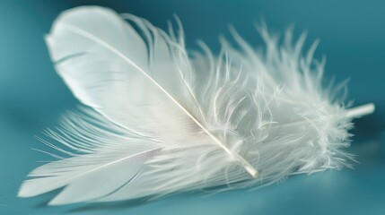 A close-up shot of a single white feather lying on a blue surface