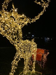 Light Installation of a Reindeer with Sleigh