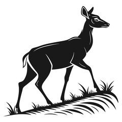 silhouette of a deer