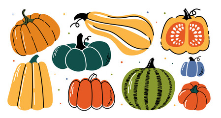 Set of pumpkins. Orange, yellow and green vegetables. Autumn and fall season natural and organic products. Harvest and crop. Flat vector collection