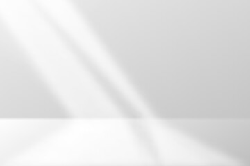 White Studio Background With Sunlight. Minimalist. Vector Illustration. Abstract Business Wallpaper. Wall Backdrop