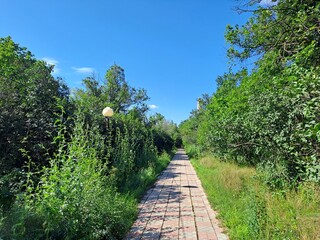 path in the park