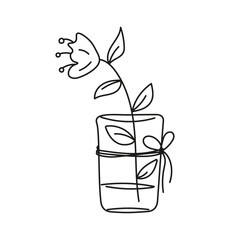 Hand drawn flower in glass vase. Vector illustration on white background.