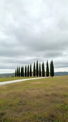 Obraz premium Cypress trees lining a tranquil Tuscan road under stormy morning skies with a rustic farmhouse in the backdrop