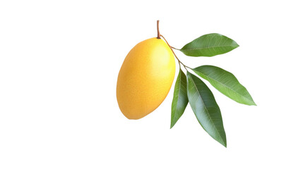 Mango transparent background