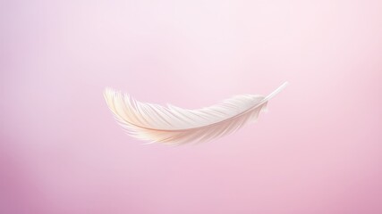 Obraz premium A single delicate white feather floats gracefully against a soft pink background, showcasing the beauty of simplicity and the ephemeral nature of life.