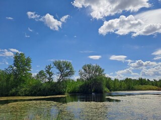 landscape with river and sky