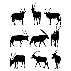 Animal Silhouettes on white background.
