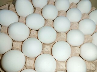 White eggs in trey box raw chicken eggs in paper egg tray on white background. Group of Fresh white Eggs in a cardboard cassette. Organic food from nature good for health