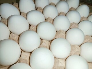 eggs in a box raw chicken eggs in paper egg tray on white background. Group of Fresh white Eggs in a cardboard cassette. Organic food from nature good for health