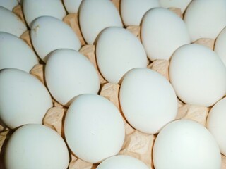 white eggs raw chicken eggs in paper egg tray on white background. Group of Fresh white Eggs in a cardboard cassette. Organic food from nature good for health