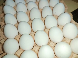 eggs in a basket raw chicken eggs in paper egg tray on white background. Group of Fresh white Eggs in a cardboard cassette. Organic food from nature good for health
