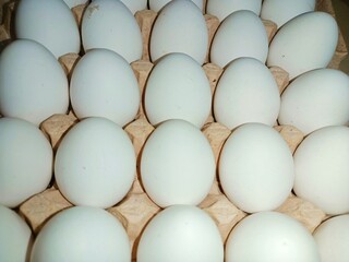 eggs in the package