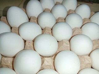 eggs in a carton raw chicken eggs in paper egg tray on white background. Group of Fresh white Eggs in a cardboard cassette. Organic food from nature good for health